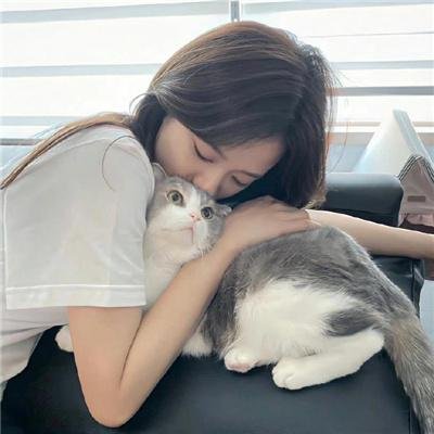嫌猪手事件簿